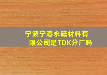 宁波宁港永磁材料有限公司是TDK分厂吗