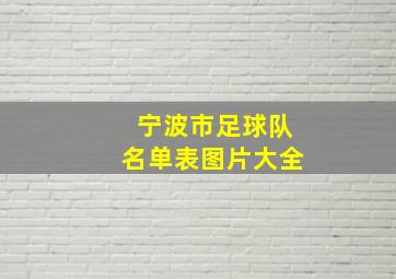 宁波市足球队名单表图片大全