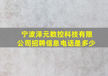 宁波泽元数控科技有限公司招聘信息电话是多少