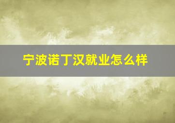 宁波诺丁汉就业怎么样