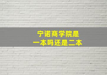 宁诺商学院是一本吗还是二本