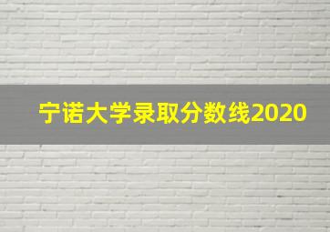 宁诺大学录取分数线2020