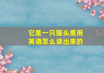 它是一只猫头鹰用英语怎么读出来的