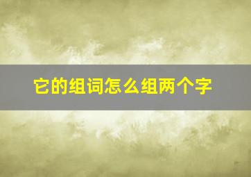 它的组词怎么组两个字