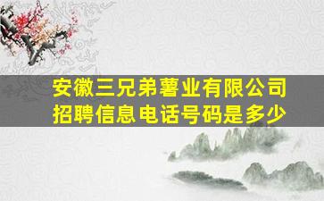 安徽三兄弟薯业有限公司招聘信息电话号码是多少