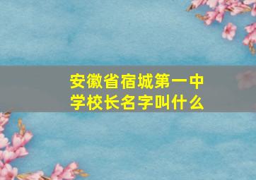 安徽省宿城第一中学校长名字叫什么