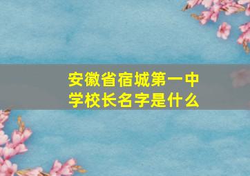 安徽省宿城第一中学校长名字是什么