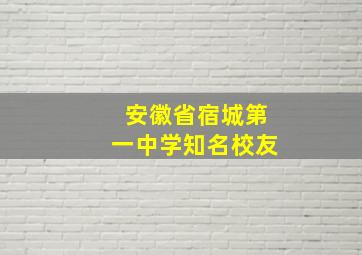 安徽省宿城第一中学知名校友