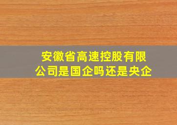 安徽省高速控股有限公司是国企吗还是央企