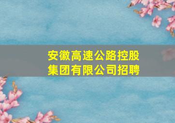 安徽高速公路控股集团有限公司招聘