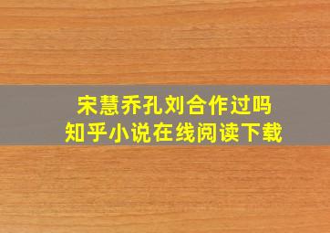 宋慧乔孔刘合作过吗知乎小说在线阅读下载