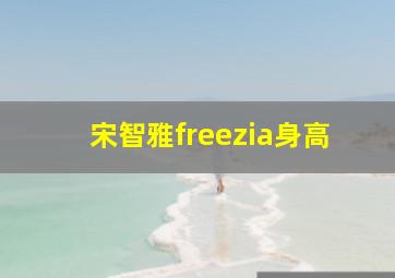 宋智雅freezia身高