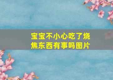 宝宝不小心吃了烧焦东西有事吗图片