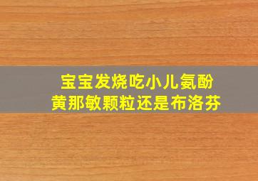 宝宝发烧吃小儿氨酚黄那敏颗粒还是布洛芬