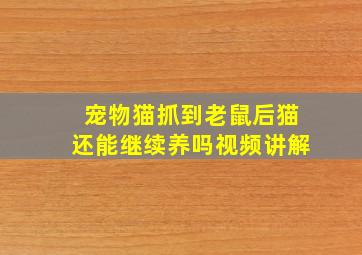 宠物猫抓到老鼠后猫还能继续养吗视频讲解