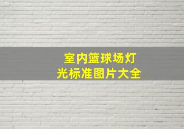 室内篮球场灯光标准图片大全