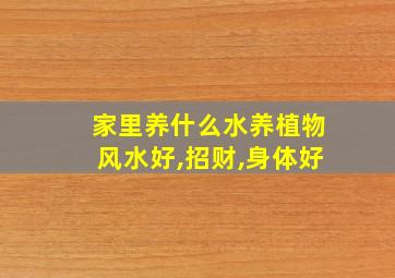 家里养什么水养植物风水好,招财,身体好