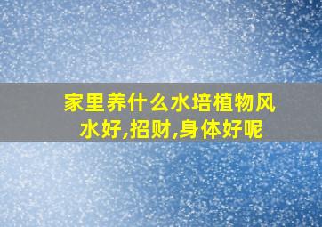 家里养什么水培植物风水好,招财,身体好呢