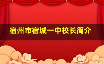 宿州市宿城一中校长简介