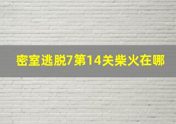 密室逃脱7第14关柴火在哪