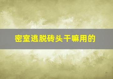 密室逃脱砖头干嘛用的