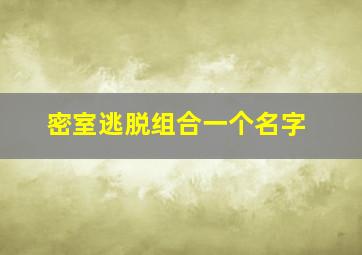 密室逃脱组合一个名字