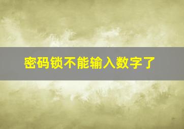 密码锁不能输入数字了