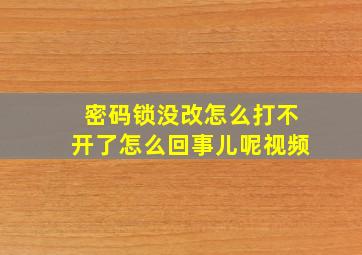 密码锁没改怎么打不开了怎么回事儿呢视频