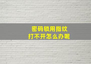 密码锁用指纹打不开怎么办呢