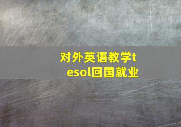 对外英语教学tesol回国就业