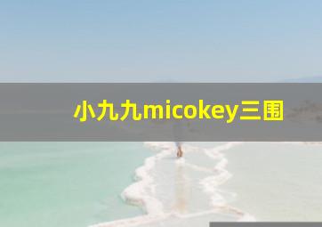 小九九micokey三围