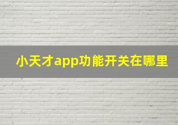 小天才app功能开关在哪里