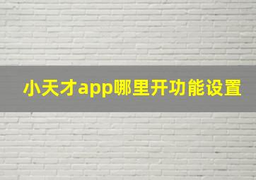 小天才app哪里开功能设置