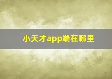 小天才app端在哪里