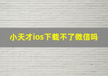 小天才ios下载不了微信吗