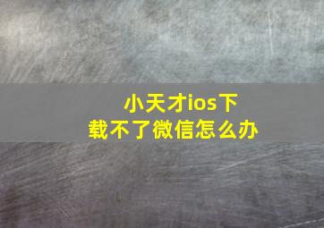 小天才ios下载不了微信怎么办