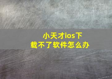 小天才ios下载不了软件怎么办