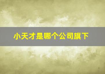 小天才是哪个公司旗下