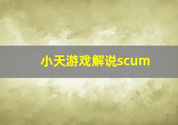 小天游戏解说scum