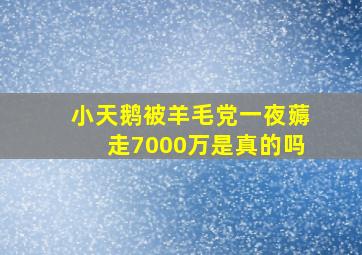 小天鹅被羊毛党一夜薅走7000万是真的吗