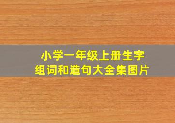 小学一年级上册生字组词和造句大全集图片