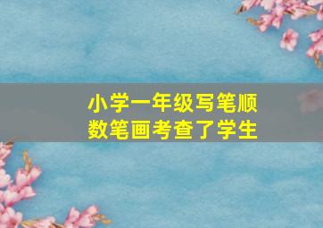 小学一年级写笔顺数笔画考查了学生