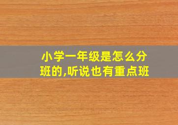 小学一年级是怎么分班的,听说也有重点班