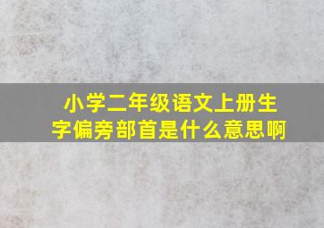 小学二年级语文上册生字偏旁部首是什么意思啊