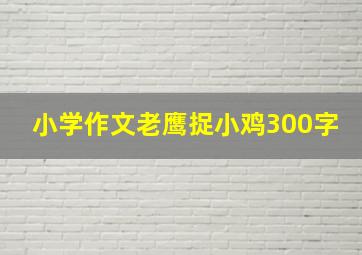 小学作文老鹰捉小鸡300字