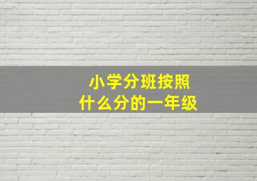 小学分班按照什么分的一年级