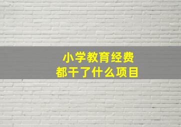 小学教育经费都干了什么项目