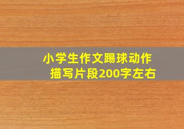 小学生作文踢球动作描写片段200字左右