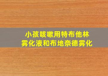 小孩咳嗽用特布他林雾化液和布地奈德雾化