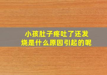 小孩肚子疼吐了还发烧是什么原因引起的呢